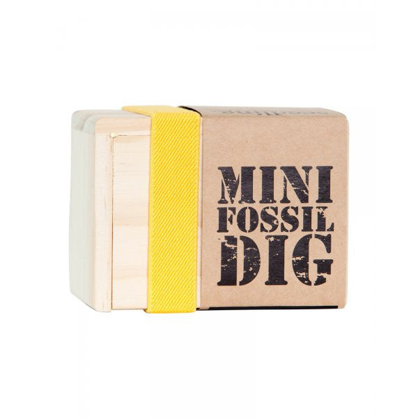 Mini Fossil Dig